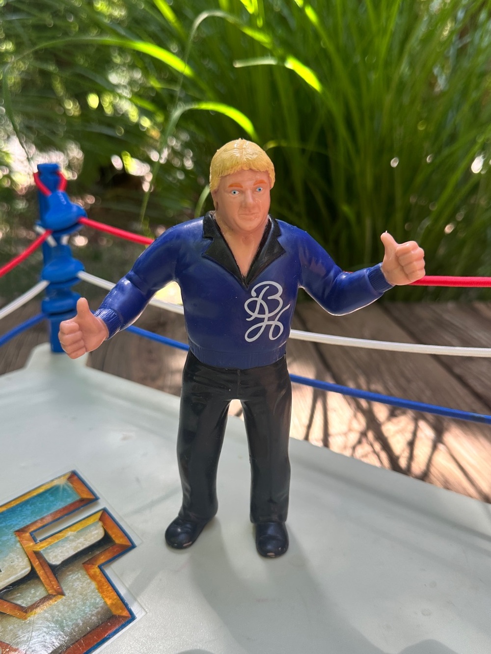 Vintage 1986 LJN WWF WWE Bobby The Brain Heenan Wrestling Action Figure